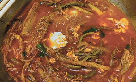 #22 | Kimchi Jjigae, Yukgaejang, Phở, and Occasions