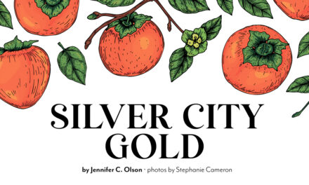 Silver City Gold